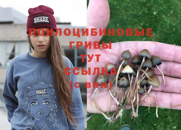 первитин Арсеньев