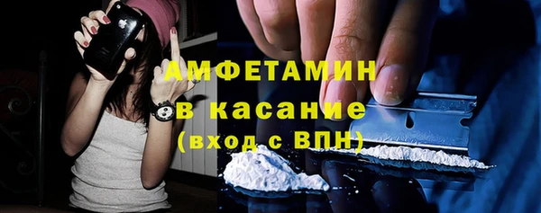 трава Тавда
