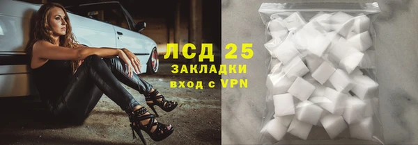 прущие грибы Армянск