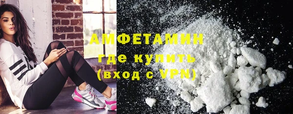 прущие грибы Армянск
