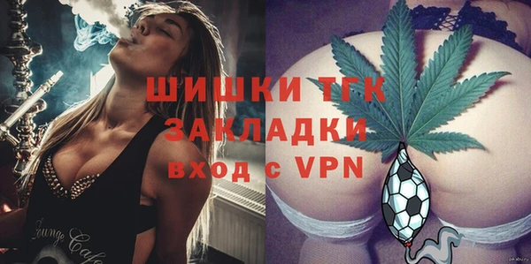 прущие грибы Армянск