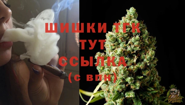 трава Тавда