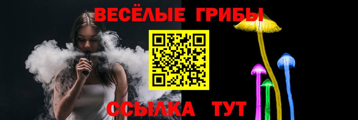 Псилоцибиновые грибы Psilocybine cubensis Сургут